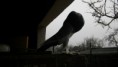 /album/duclatogatas-gabor-jozsefnel/a20161217-113951-jpg/